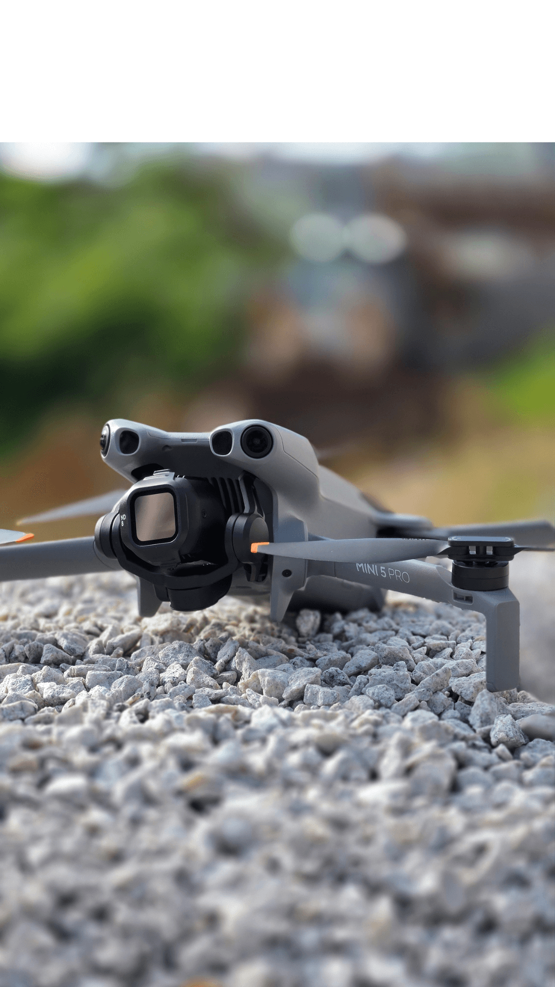 Capa de Pedro NEXOAR